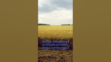 Explore the Fascinating World of Quantum Computing: How It Will Transform Technology Forever!