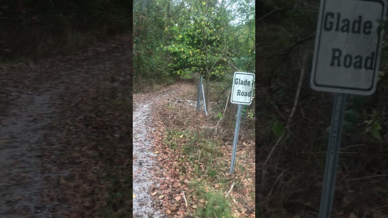 Come, take a walk with me. 😊  [ASMR] whispering and walking a nature trail with you