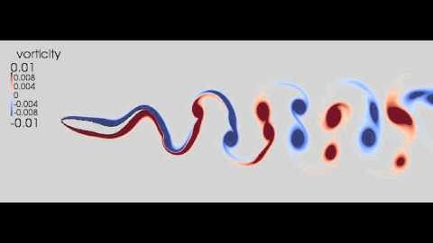 Lattice Boltzmann method simulates tadpole