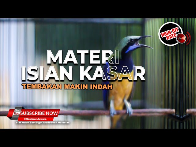 🔴Masteran Cucak Cungkok Isian Materi Kasar Tembakan Makin Mewah class=