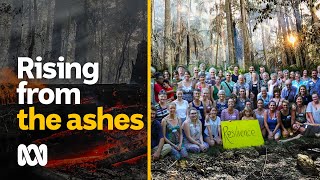 Rising from the ashes - prepping for future disasters | 2020 Black Summer bushfires | ABC Australia