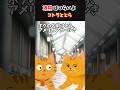【雄猫はつらいよ】コトラととら #男はつらいよ #猫好きさんと繋がりたい #茶トラ #アメリカンカール