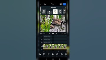 Change aspect ratio in VN editor #shorts #youtubeshorts