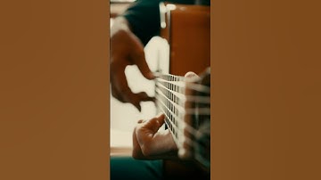 Thumbnail of Writing in the woods #jessecook #spanishguitar #beautifulguitar #flamenco #bgm