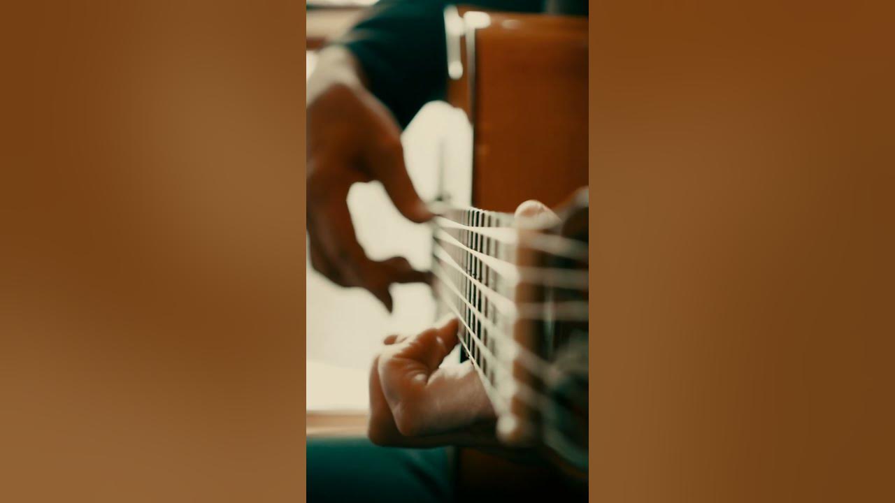 Writing in the woods #jessecook #spanishguitar #beautifulguitar #flamenco #bgm