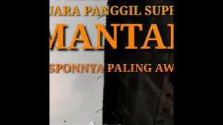 Suara panggil burung walet super mantap dan awet responnya _Aan007