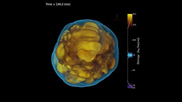 Core-collapse supernova simulation