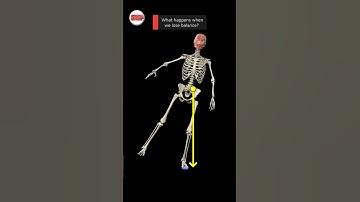 Center of Gravity vs. Base of Support #muscleandmotion