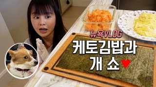 하몽계란치즈 키토김밥 만들기, 뉴욕 개 쇼, 요즘빠진 넷플과 중국감자칩🥔