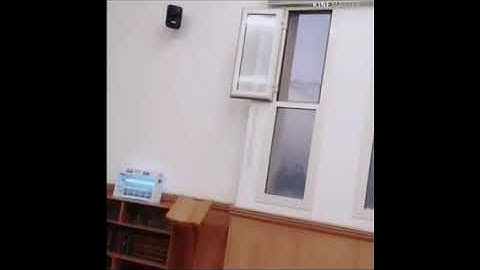 Umair Shameem سورة الاسراء بصوت الشيخ عمير شميم