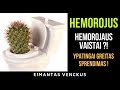 Hemorojus, simptomai, hemorojaus vaistai, gydymas, ką daryti? | Eimantas Venckus - Gyvenimo Ratas