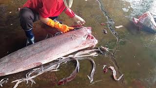 Delicious Marlin Fish cutting Swordfish-美味的旗魚生魚片馬林魚 