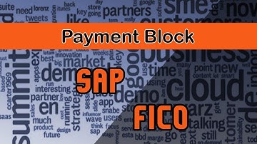 SAP FICO | Process Involved in the Account Payable | Payment Block | Parking Document