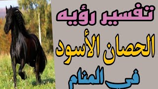 تفسير رؤيه الحصان الأسود في المنام/رؤيه الخيل الاسود في الحلم للرجل والمرأة