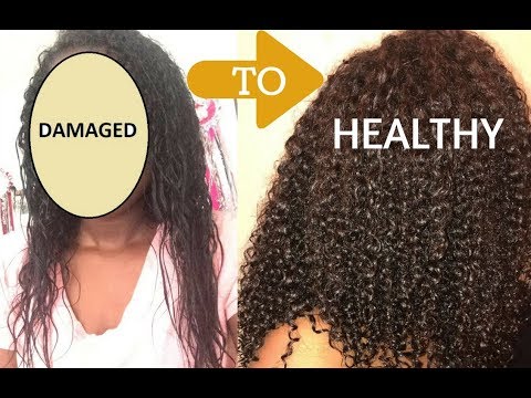 HOW I REPAIRED MY HEAT DAMAGED HAIR USING 7 STEPS      
