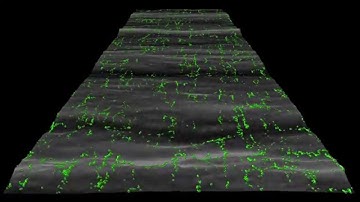 Perspective view of windrows forming (coarse assimilation)