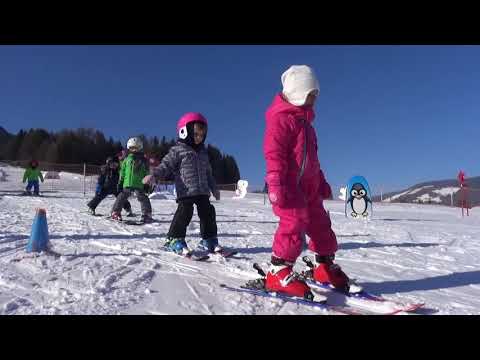 Video: 5 Posti dove andare a sciare al chiuso con i bambini