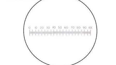58071 Pre prac Tutorial hint video - Graticule