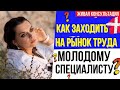 Как устроиться на работу выпускнику ВУЗа | Поиск работы в Дании