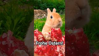 Frohe Ostern #Garten #Gartentipps #Gartenarbeit #Gemüsegarten