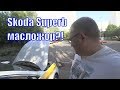 Блокировка в Яндекс такси. Пьяных не вожу. Какое масло залить в Superb?!/StasOnOff