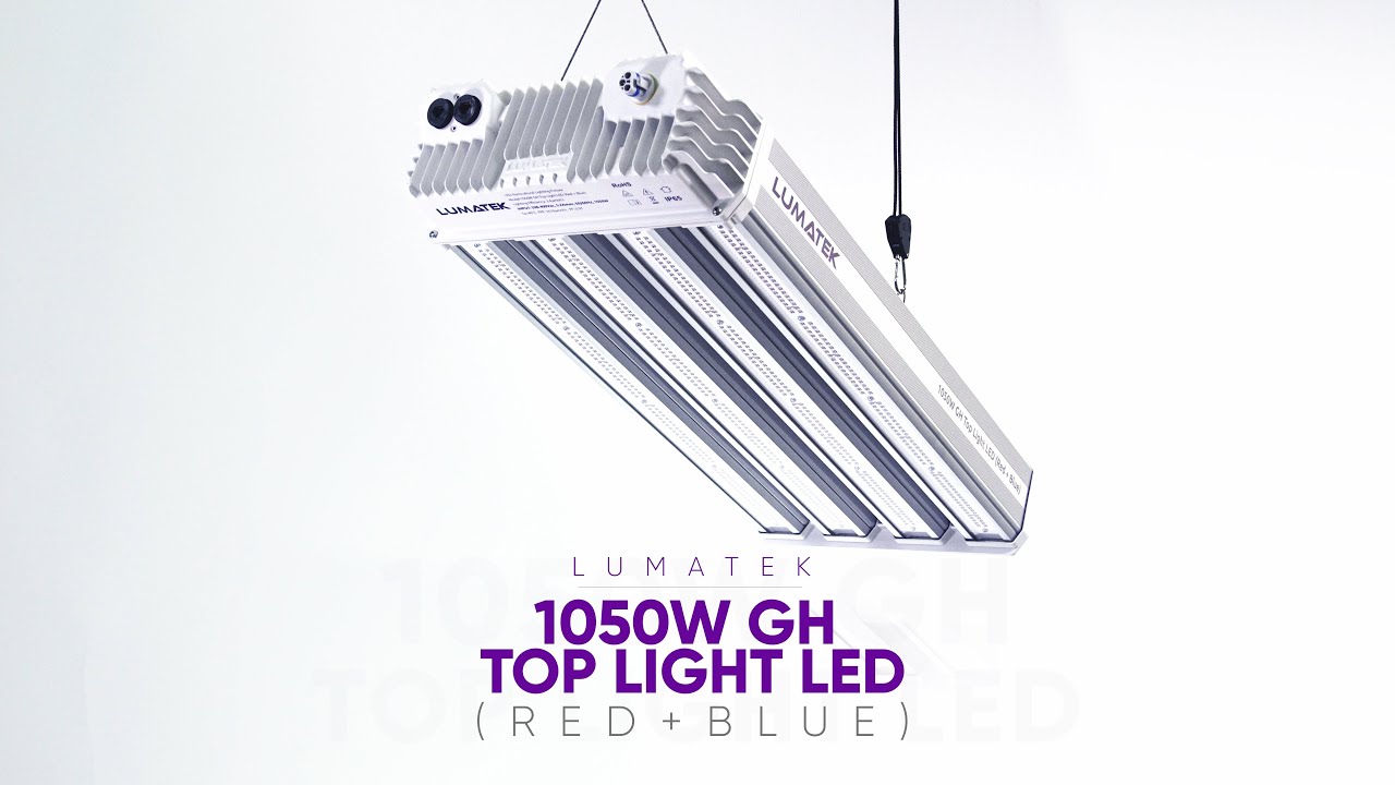 format valse Luksus 1050W GH Top Light LED (Red + Blue) | Greenhouse | Glass House