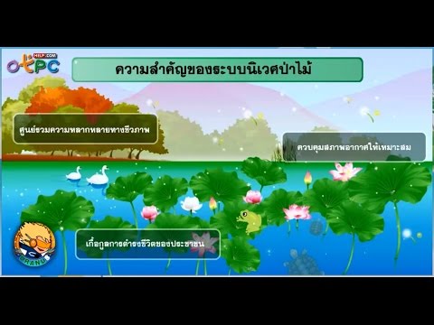 ระบบนิเวศป่าไม้ และระบบนิเวศป่าดิบชื้น - สื่อการเรียนการสอน วิทยาศาสตร์ ม.3