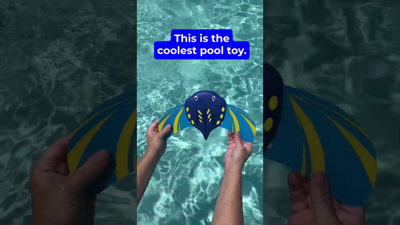 The Best Pool Toys Pooltoy Poolday Summertime