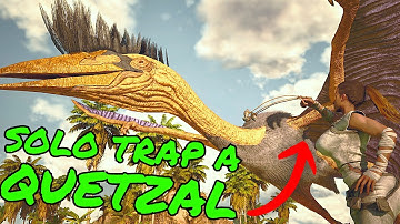 How to SOLO TRAP A QUETZAL!! SOLO QUETZAL HACK!!!