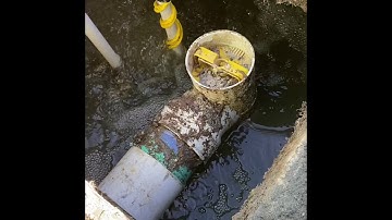 Restoring  septic Leach Field