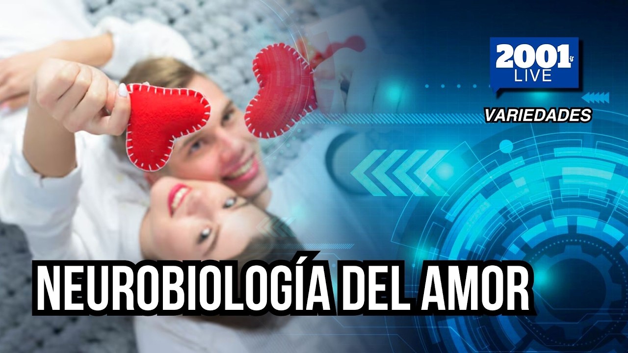 Amar para sanar: Los beneficios psicológicos de una relación saludable