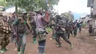 Victoire Victoire Les Wazalendu Et Les Fardc Frappent Très Fort À Minova