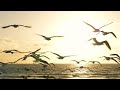 578. 20.03.2024г. Послевоенные взаимоотношения.