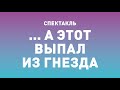 Спектакль ТБДТ «... А ЭТОТ ВЫПАЛ ИЗ ГНЕЗДА» / 2012 год