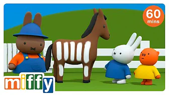 Grunty's Discovery | Miffy | Cartoons for kids
