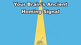 Why Your Brain Still Thinks Nostalgia Is A Homing Beacon