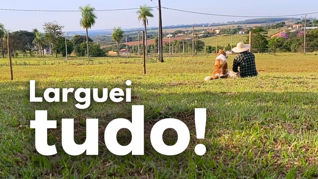 3 coisas que DESTRUÍRAM a minha antiga vida (e me deram liberdade)