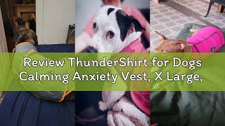 Review ThunderShirt for Dogs Calming Anxiety Vest, X Large, Platinum Sport