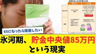 氷河期、貯金中央値85万円という現実【2chまとめ】【2chスレ】【5chスレ】