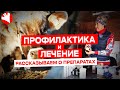 Профилактика и лечение крс | Животноводство