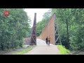 Cycling through the heathland belgium