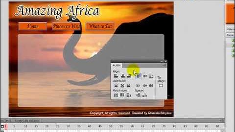 How to Build a Flash Website