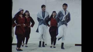 OLIVE TREE - Bachar Mar-Khalifé