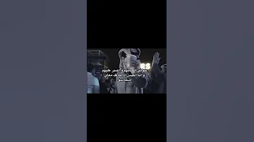 شيلات شيله رياكشن رياكشنات متعب الخيل كيف جيت المحبه رقص ضحك 