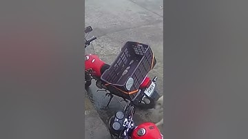 clip hài hước vui nhộn triệu vew | P835 Cuộc rượt đuổi thú vị 2 chú chó nhẹ nhàng vượt qua #shorts