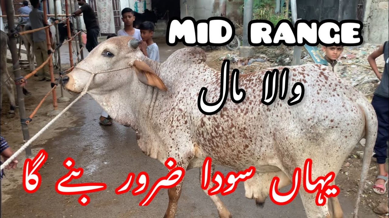 Mid Range Wala Maal Rates Update setup YouTube mid-range-wala-maal-rates-update-setup-youtube