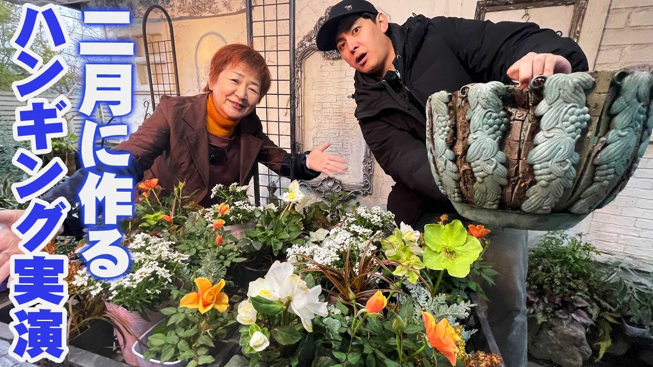 クリスマスローズとバラを主役にしたハンギングバスケットを作ります【花の谷オールドビレッジ】【吉村雅代】