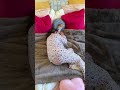 Now this is COXY ☁️🧸💤@Cozy Earth #cozyearth #throwblanket #plushblanket #bedding #cozyearthbedding