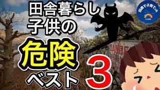 【田舎や地方の危険】田舎や地方で子育てするときに危ない事のBEST3です。私達が感じる危険な事や気をつけてる事をまとめました！！