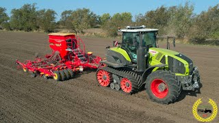 Claas Axion 920 TT | Väderstad Rapit 600 | Aussaat | Getreide Drillen